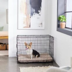 Frisco Swirl Dog Crate Mat -Frisco Sales Store 110506 PT5. AC SS1800 V1635258765