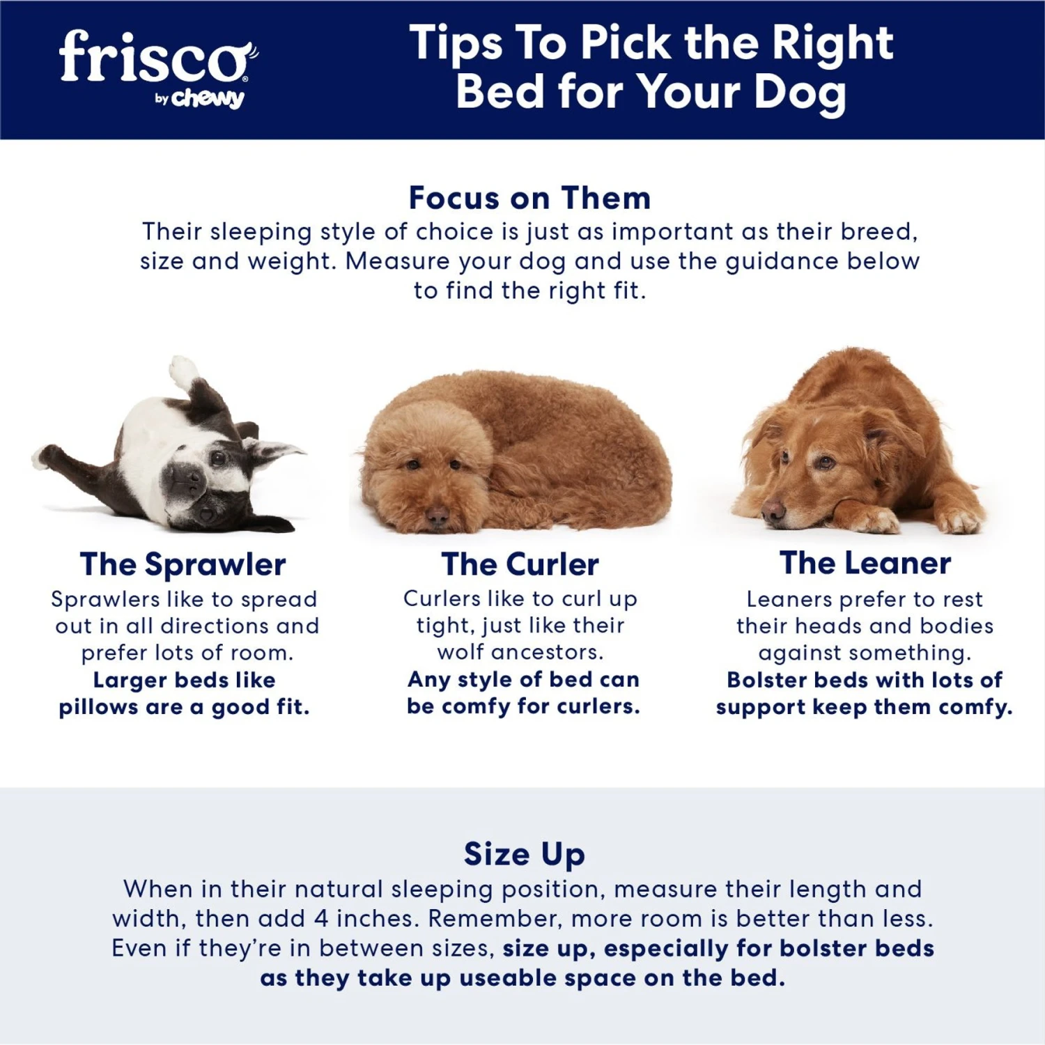 Frisco Pillow Dog Bed W/ Removeable Cover 5 Frisco Pillow Dog Bed W/ Removeable Cover - Image 5