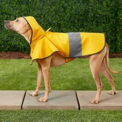 Frisco Lightweight Rainy Days Dog Raincoat -Frisco Sales Store 119208 PT7. AC SS1800 V1540475377