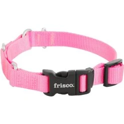 Frisco Solid Nylon Martingale Dog Collar With Buckle -Frisco Sales Store 139177 PT3. AC SS1800 V1620068872