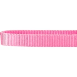 Frisco Solid Nylon Slip-On Martingale Dog Collar 8 Frisco Solid Nylon Slip-On Martingale Dog Collar -Frisco Sales Store 139181 PT3. AC SS1800 V1620069443