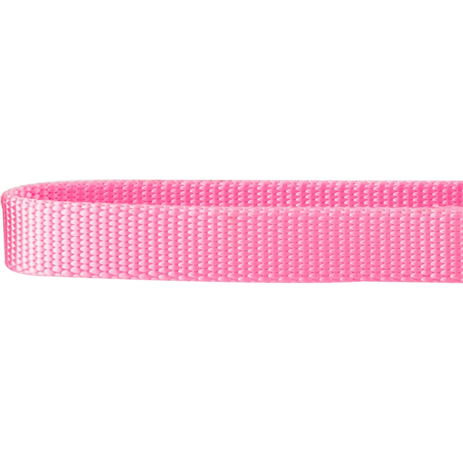 Frisco Solid Nylon Slip-On Martingale Dog Collar 4 Frisco Solid Nylon Slip-On Martingale Dog Collar - Image 4