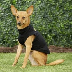 Frisco Security Dog & Cat T-Shirt -Frisco Sales Store 139501 PT5. AC SS1800 V1624603968