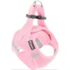 Frisco Small Breed Soft Vest Step In Back Clip Dog Harness