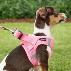 Frisco Small Breed Soft Vest Step In Back Clip Dog Harness -Frisco Sales Store 139821 PT5. AC SS1800 V1561573781