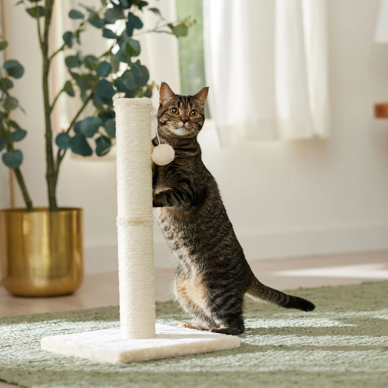 Frisco 21-in Sisal Cat Scratching Post With Toy 1 Frisco 21-in Sisal Cat Scratching Post With Toy