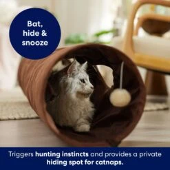 Frisco 47-in Foldable Crinkle Play Tunnel With 2 Windows -Frisco Sales Store 140168 PT3. AC SS1800 V1695241917