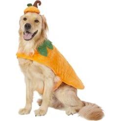 Frisco Pumpkin Dog & Cat Costume -Frisco Sales Store 144446 PT2. AC SS1800 V1567174700