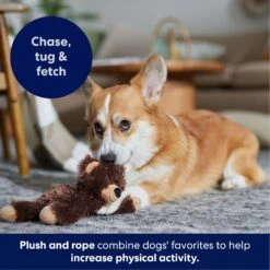 Frisco Bear Plush With Inside Rope Squeaky Dog Toy -Frisco Sales Store 147061 PT4. AC SS1800 V1695659155