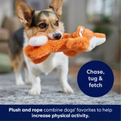 Frisco Fox Plush With Inside Rope Squeaky Dog Toy 10 Frisco Fox Plush With Inside Rope Squeaky Dog Toy -Frisco Sales Store 147065 PT4. AC SS1800 V1695671059
