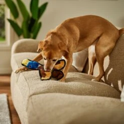 Frisco Duck Flat Plush Squeaky Dog Toy 6 Frisco Duck Flat Plush Squeaky Dog Toy -Frisco Sales Store 147069 PT3. AC SS1800 V1674158058