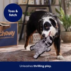 Frisco Raccoon Stuffing-Free Flat Plush Squeaky Dog Toy 10 Frisco Raccoon Stuffing-Free Flat Plush Squeaky Dog Toy -Frisco Sales Store 147071 PT5. AC SS1800 V1692989431