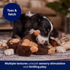 Frisco Gorilla Muscle Plush Squeaky Dog Toy -Frisco Sales Store 147084 PT5. AC SS1800 V1694182068