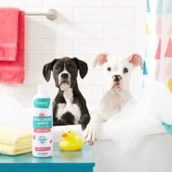 Frisco Hypoallergenic Puppy & Kitten Shampoo, Unscented -Frisco Sales Store 152571 PT2. AC SS1800 V1551302781