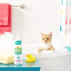 Frisco Oatmeal Conditioner With Aloe For Dogs & Cats, Almond Scent -Frisco Sales Store 152579 PT3. AC SS1800 V1551302925
