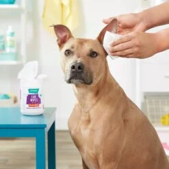 Frisco Deodorizing Ear Wipes With Aloe For Dogs & Puppies -Frisco Sales Store 152583 PT4. AC SS1800 V1551302935