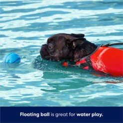 Frisco Foam Rubber Floating Fetch Ball No Squeak Dog Toy 9 Frisco Foam Rubber Floating Fetch Ball No Squeak Dog Toy -Frisco Sales Store 152798 PT3. AC SS1800 V1686579688