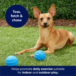Frisco Foam Rubber Floating Fetch Ball No Squeak Dog Toy 10 Frisco Foam Rubber Floating Fetch Ball No Squeak Dog Toy -Frisco Sales Store 152798 PT4. AC SS1800 V1686579140