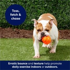 Frisco Fetch Squeaky TPR Ball Dog Toy -Frisco Sales Store 152801 PT4. AC SS1800 V1686580091