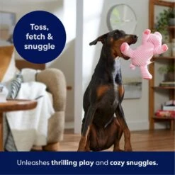 Frisco Corduroy Plush Squeaking Pig Dog Toy -Frisco Sales Store 152832 PT4. AC SS1800 V1695671001