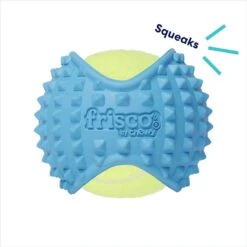 Frisco Fetch Squeaky Tennis Ball With Rubber Sleeve Dog Toy 9 Frisco Fetch Squeaky Tennis Ball With Rubber Sleeve Dog Toy -Frisco Sales Store 152844 PT2. AC SS1800 V1691776695