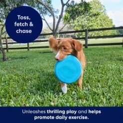 Frisco Fetch Rubber Flyer Dog Toy -Frisco Sales Store 152848 PT5. AC SS1800 V1692370079