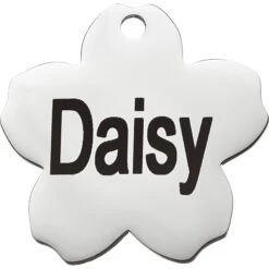 Frisco Stainless Steel Personalized Dog & Cat ID Tag, Flower 9 Frisco Stainless Steel Personalized Dog & Cat ID Tag, Flower -Frisco Sales Store 153002 PT2. AC SS1800 V1548964685