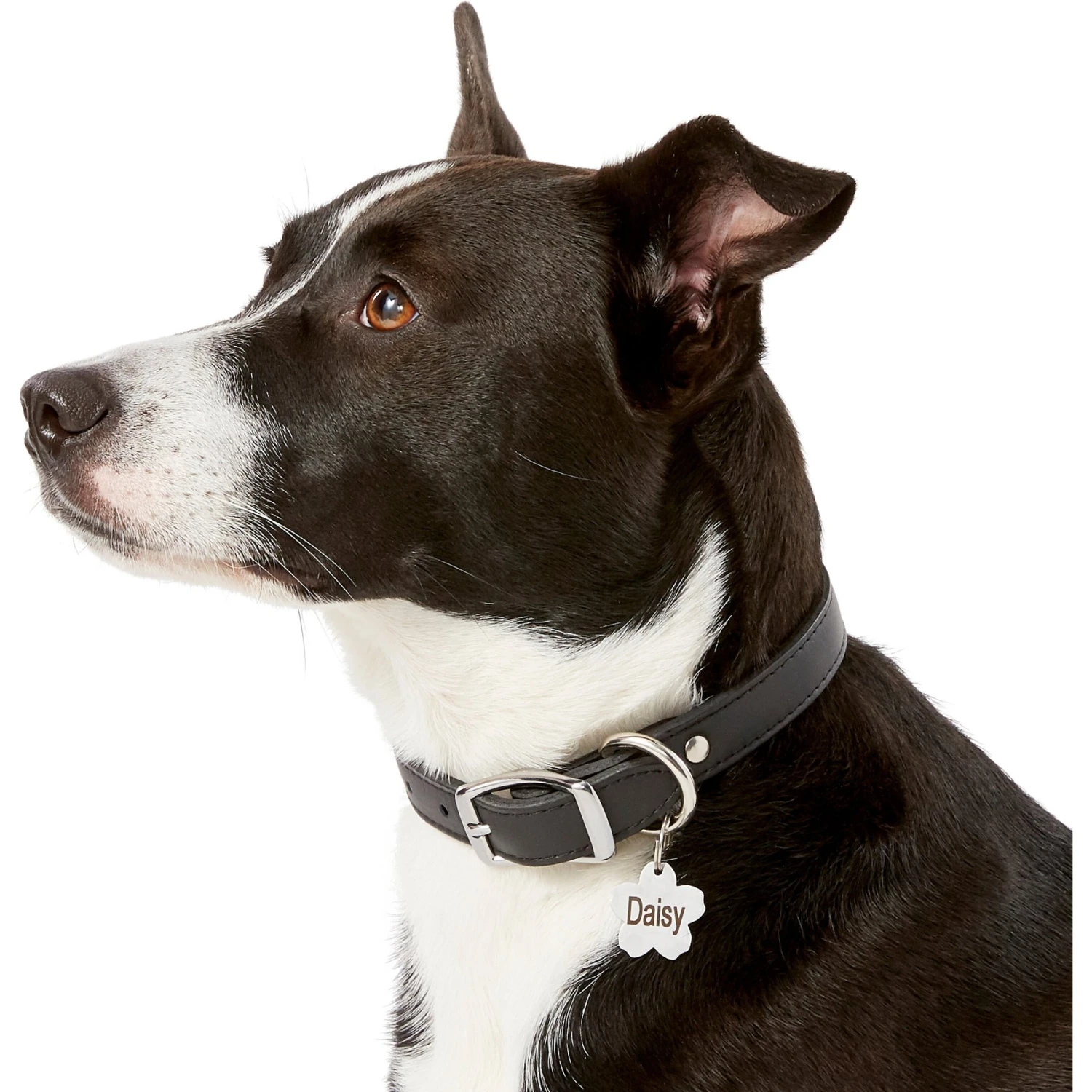 Frisco Stainless Steel Personalized Dog & Cat ID Tag, Flower 6 Frisco Stainless Steel Personalized Dog & Cat ID Tag, Flower - Image 6