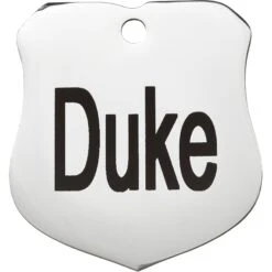 Frisco Stainless Steel Personalized Dog & Cat ID Tag, Badge -Frisco Sales Store 153009 PT2. AC SS1800 V1548964780