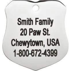 Frisco Stainless Steel Personalized Dog & Cat ID Tag, Badge -Frisco Sales Store 153009 PT3. AC SS1800 V1548964788
