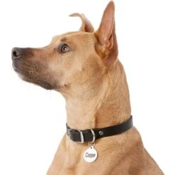 Frisco Personalized Dog & Cat Tag, Round -Frisco Sales Store 153015 PT5. AC SS1800 V1540562586