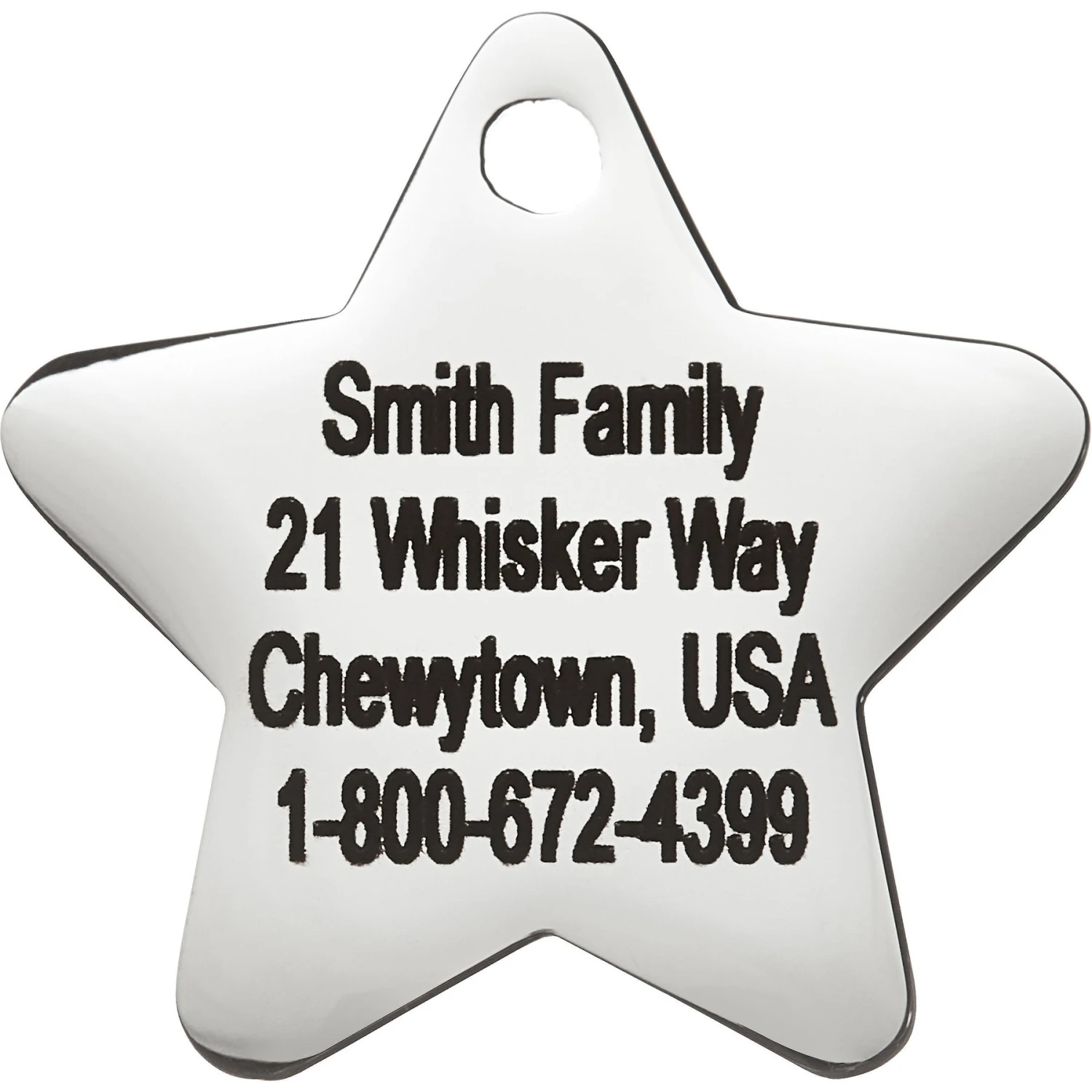 Frisco Stainless Steel Personalized Dog & Cat ID Tag, Star 4 Frisco Stainless Steel Personalized Dog & Cat ID Tag, Star - Image 4