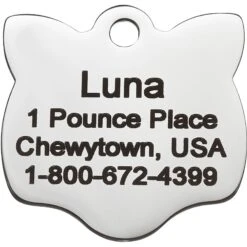 Frisco Stainless Steel Personalized Cat ID Tag, Cat -Frisco Sales Store 153043 PT2. AC SS1800 V1540560126