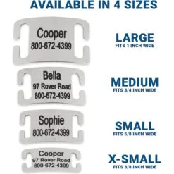 Frisco Stainless Steel Slide-On Personalized Dog & Cat Tag, Open Design -Frisco Sales Store 153050 PT3. AC SS1800 V1644013293