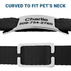 Frisco Stainless Steel Slide-On Personalized Dog & Cat Tag, Open Design -Frisco Sales Store 153050 PT4. AC SS1800 V1644016599