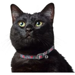 Frisco Rose Polyester Breakaway Cat Collar With Bell -Frisco Sales Store 153160 PT3. AC SS1800 V1701796877