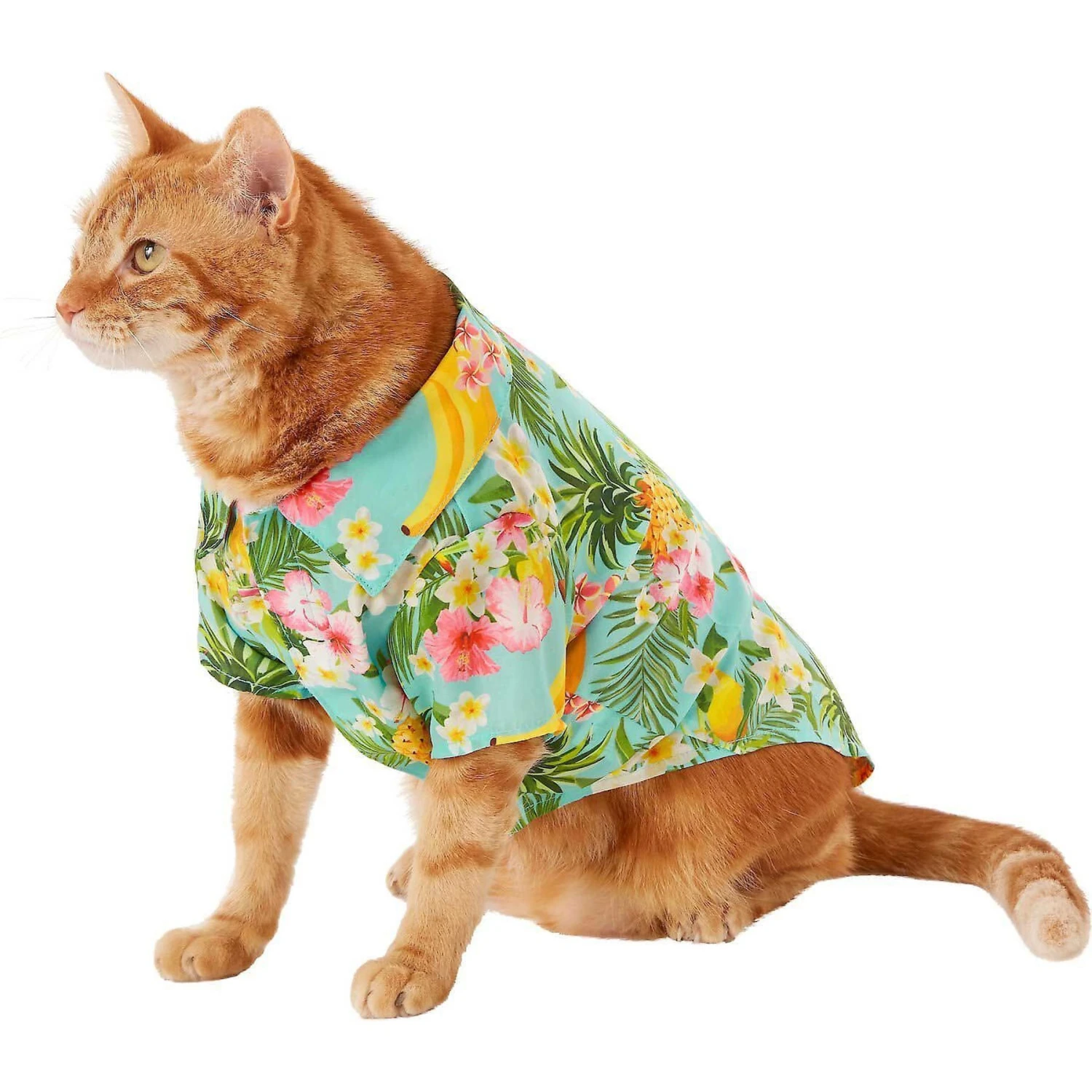 Frisco Pineapple Hawaiian Camp Dog & Cat Shirt 3 Frisco Pineapple Hawaiian Camp Dog & Cat Shirt - Image 3