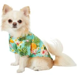 Frisco Pineapple Hawaiian Camp Dog & Cat Shirt 12 Frisco Pineapple Hawaiian Camp Dog & Cat Shirt -Frisco Sales Store 153596 PT3. AC SS1800 V1673361409