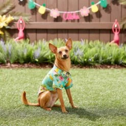 Frisco Pineapple Hawaiian Camp Dog & Cat Shirt 16 Frisco Pineapple Hawaiian Camp Dog & Cat Shirt -Frisco Sales Store 153596 PT7. AC SS1800 V1644884316