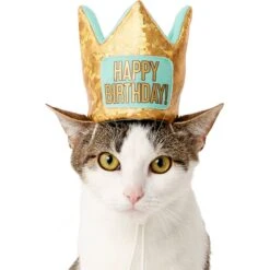 Frisco Happy Birthday Dog & Cat Crown -Frisco Sales Store 153665 PT2. AC SS1800 V1551230979