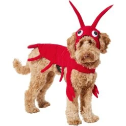 Frisco Red Lobster Dog & Cat Costume 10 Frisco Red Lobster Dog & Cat Costume -Frisco Sales Store 158723 PT2. AC SS1800 V1659023725