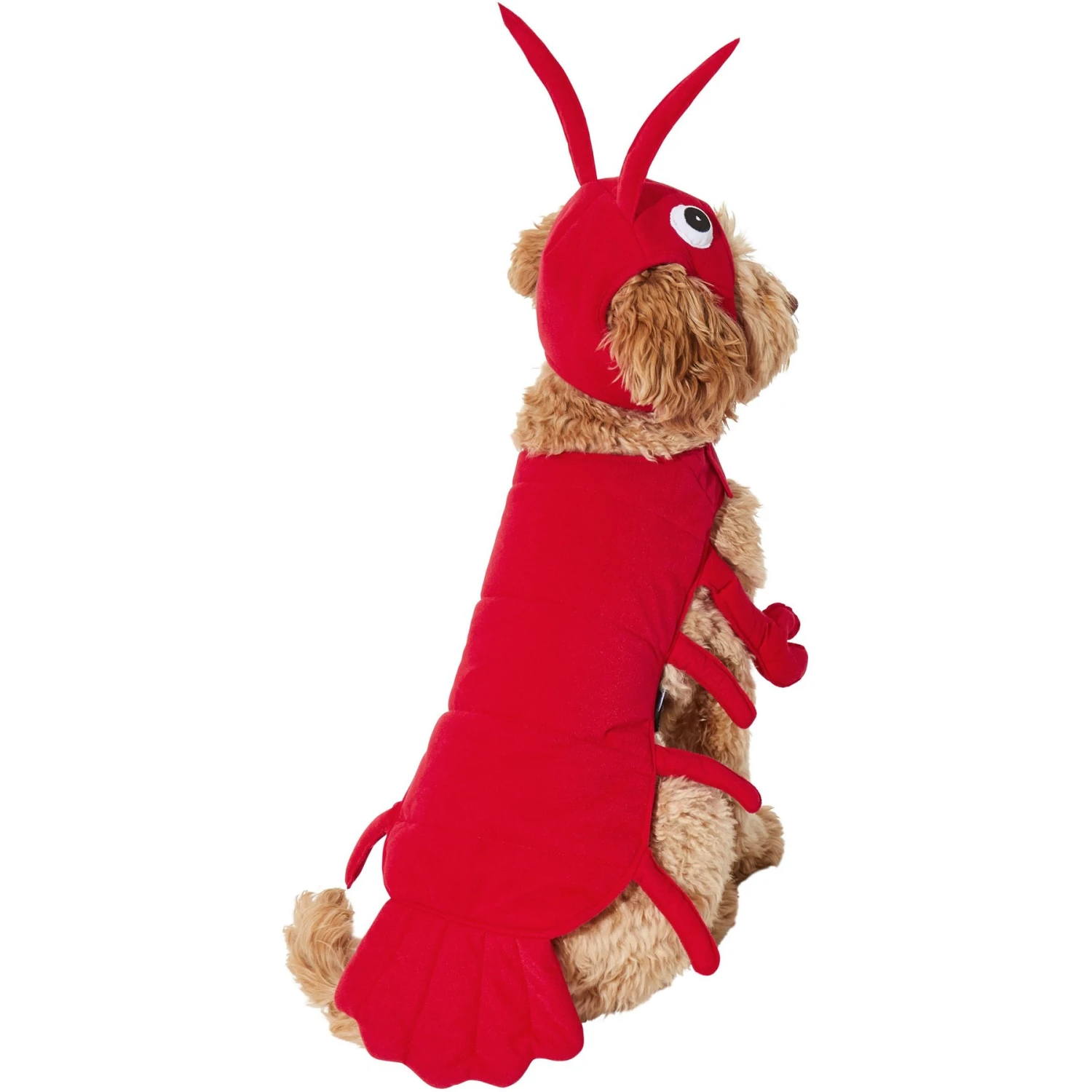 Frisco Red Lobster Dog & Cat Costume 4 Frisco Red Lobster Dog & Cat Costume - Image 4