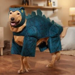 Frisco Stegosaurus Dinosaur Dog & Cat Costume 16 Frisco Stegosaurus Dinosaur Dog & Cat Costume -Frisco Sales Store 158777 PT7. AC SS1800 V1567180627