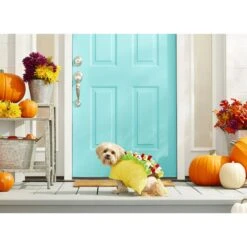 Frisco Taco Dog & Cat Costume -Frisco Sales Store 158826 PT3. AC SS1800 V1567175798