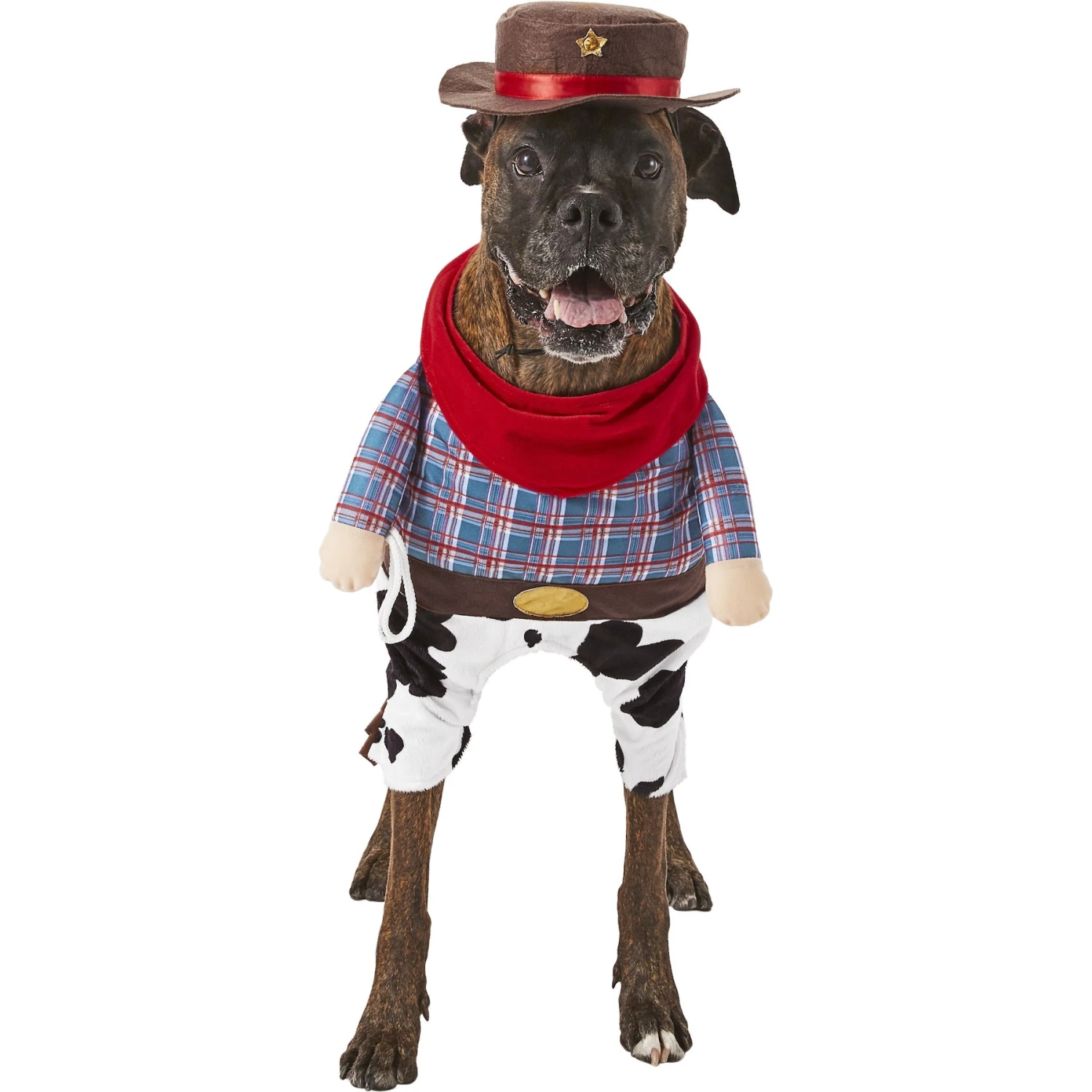 Frisco Front Walking Cowboy Dog & Cat Costume 1 Frisco Front Walking Cowboy Dog & Cat Costume