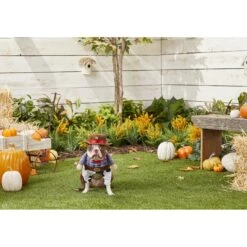 Frisco Front Walking Cowboy Dog & Cat Costume 9 Frisco Front Walking Cowboy Dog & Cat Costume -Frisco Sales Store 158842 PT3. AC SS1800 V1567176047