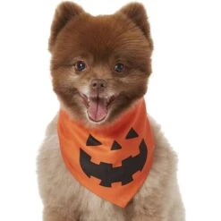 Frisco Jack O' Lantern Pumpkin Dog & Cat Bandana -Frisco Sales Store 158934 PT2. AC SS1800 V1690828662