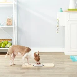 Frisco Non-Skid Stainless Steel Bowl 7 Frisco Non-Skid Stainless Steel Bowl -Frisco Sales Store 159860 PT3. AC SS1800 V1570543131