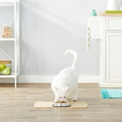 Frisco Non-Skid Stainless Steel Bowl 8 Frisco Non-Skid Stainless Steel Bowl -Frisco Sales Store 159860 PT4. AC SS1800 V1570543031