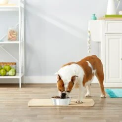 Frisco Stainless Steel Dog & Cat Bowl -Frisco Sales Store 159867 PT3. AC SS1800 V1570543097